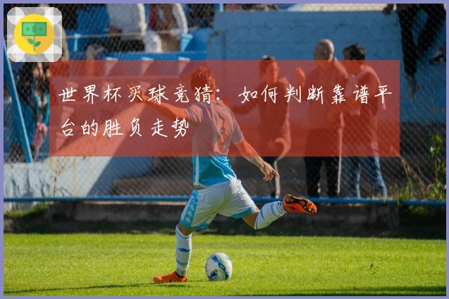 世界杯买球竞猜：如何判断靠谱平台的胜负走势