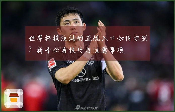 世界杯投注站的正规入口如何识别？新手必看技巧与注意事项