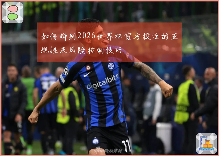 如何辨别2026世界杯官方投注的正规性及风险控制技巧