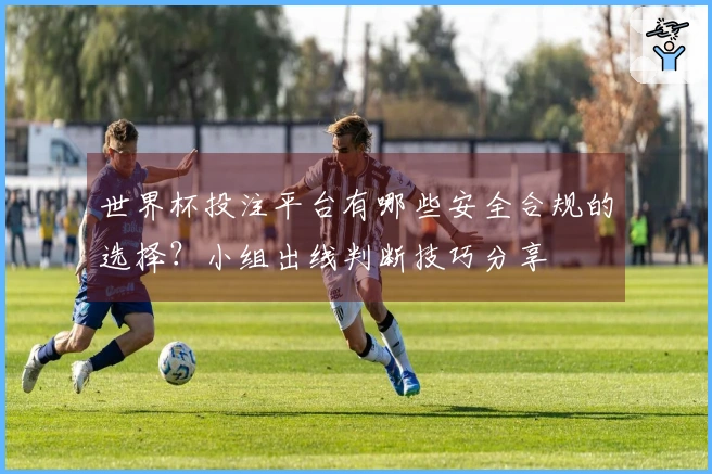 世界杯投注平台有哪些安全合规的选择？小组出线判断技巧分享