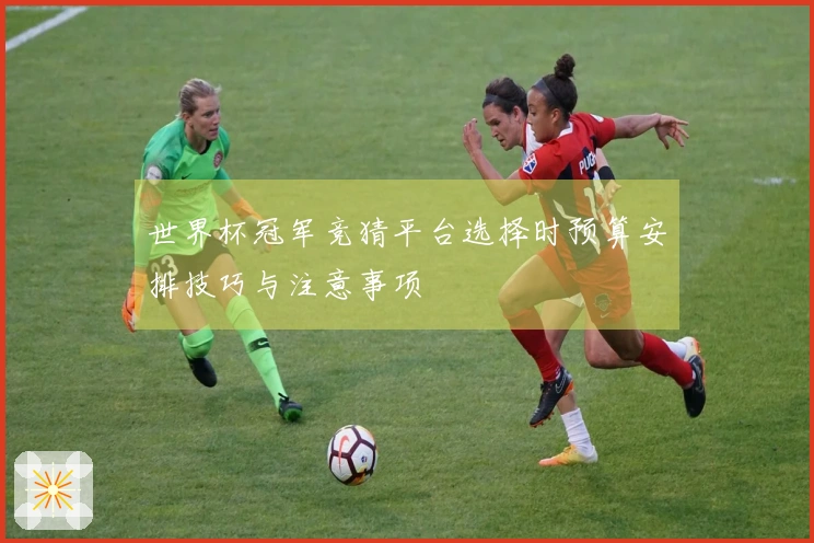 世界杯冠军竞猜平台选择时预算安排技巧与注意事项