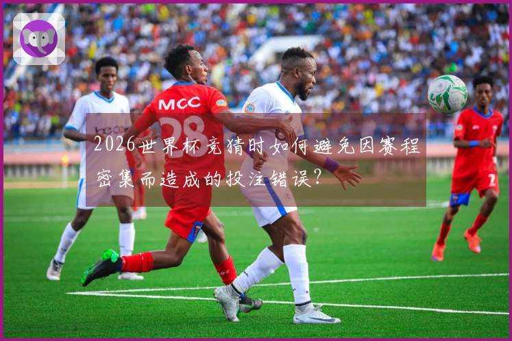 2026世界杯竞猜时如何避免因赛程密集而造成的投注错误？