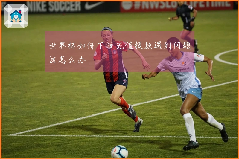 世界杯如何下注充值提款遇到问题该怎么办